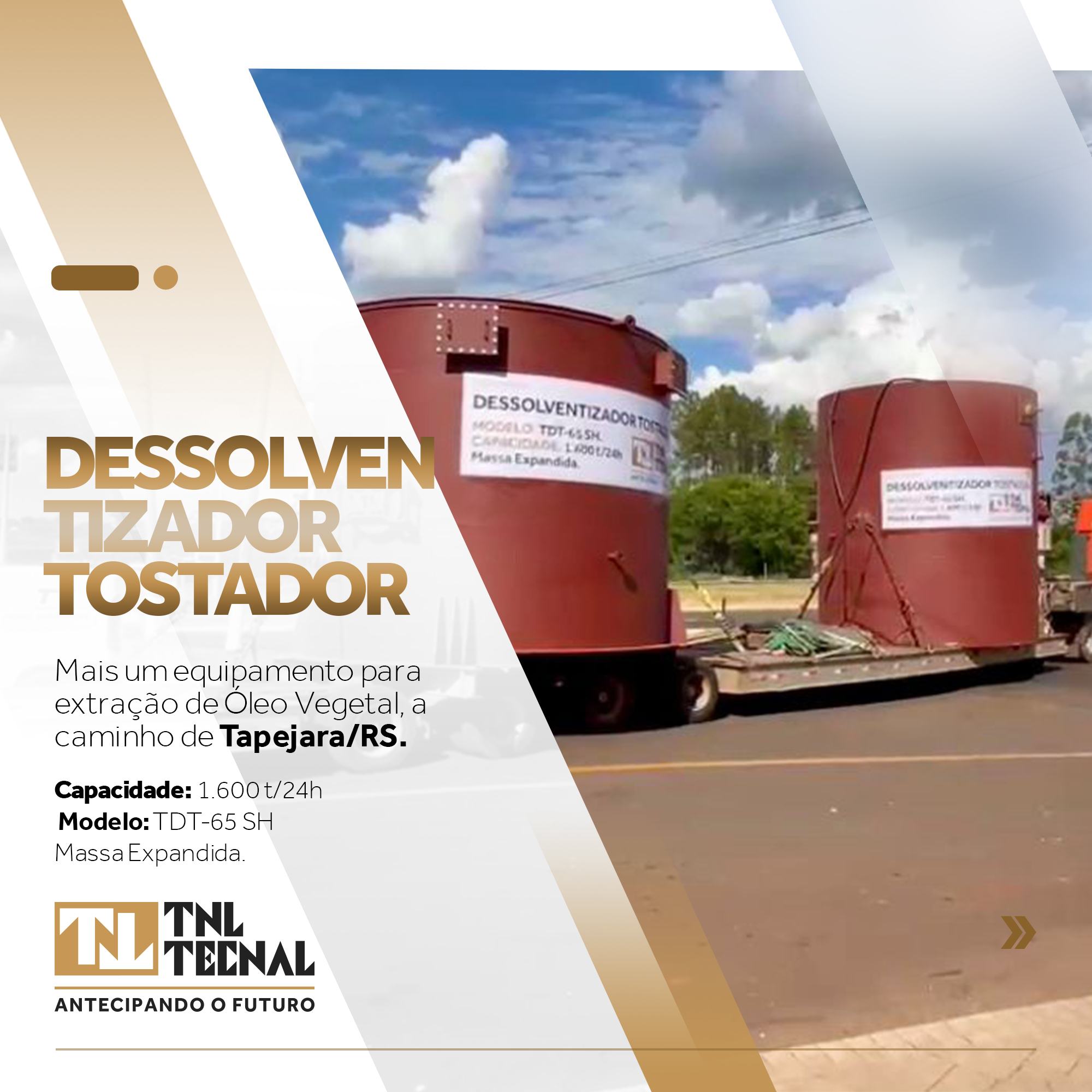 Dessolventizador Tostador - TDT 65 SH.